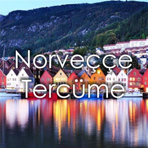 Norvee Tercme Fiyat zmir eviri Brosu