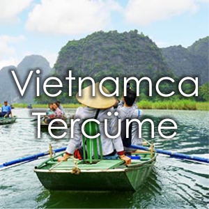 Vietnamca Tercme Fiyat zmir eviri Brosu